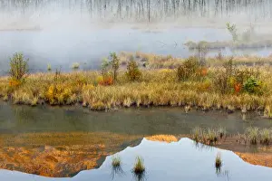 Images Dated 23rd September 2009: Canada, British Columbia, Mount Robson Provincial Park. Scenic of lake reflection and fog