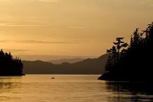 Images Dated 2nd September 2008: Canada, British Columbia, Princess Royal Island