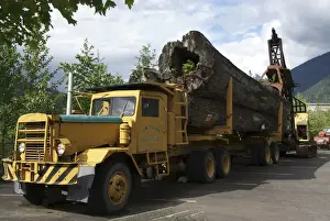 Canada: British Columbia, Revelstoke Forestry Museum, outdoors exhibit of ancient
