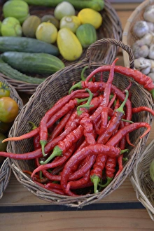 Images Dated 21st September 2013: Canada, British Columbia, Salt Spring Island, Ganges. Red hot peppers in a basket