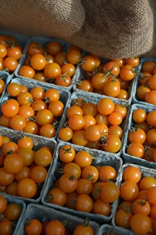 Images Dated 21st September 2013: Canada, British Columbia, Salt Spring Island, Ganges. Orange cherry tomatoes in baskets