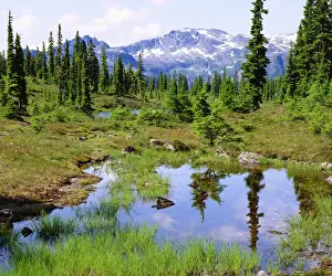 Tarn Prints: Canada; British Columbia; A tarn in the backcountry of Vancouver Island