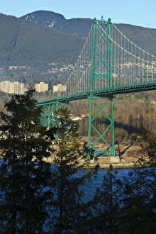 Images Dated 4th February 2012: Canada, British Columbia, Vancouver, Stanley Park, part of the Lions Gate Bridge
