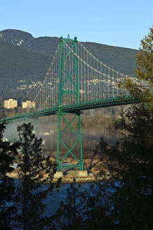 Images Dated 4th February 2012: Canada, British Columbia, Vancouver, Stanley Park, part of the Lions Gate Bridge