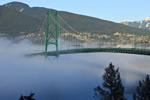 Images Dated 4th February 2012: Canada, British Columbia, Vancouver, Stanley Park, part of the Lions Gate Bridge