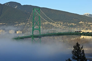 Images Dated 4th February 2012: Canada, British Columbia, Vancouver, Stanley Park, part of the Lions Gate Bridge