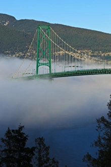 Images Dated 4th February 2012: Canada, British Columbia, Vancouver, Stanley Park, part of the Lions Gate Bridge
