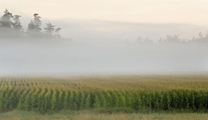 Images Dated 8th September 2007: Canada, British Columbia, Vancouver Island, Cowichan Valley