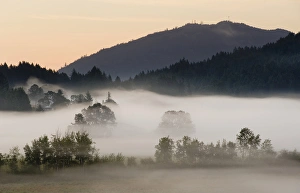 Images Dated 16th November 2008: Canada, British Columbia, Vancouver Island, Cowichan Valley