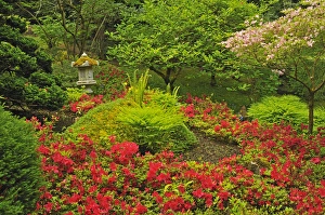 Images Dated 18th May 2005: Canada, British Columbia, Vancouver Island. Scenic of world-famous Butchart Gardens