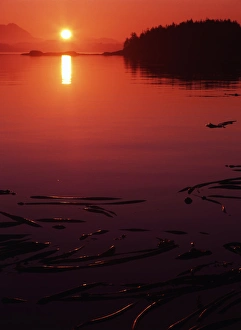 Canada, British Columbia, Vancouver Island, View of beach at sunset