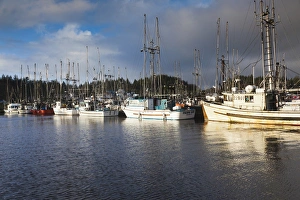 Images Dated 5th January 2012: Canada, British Columbia, Vancouver Island, Ucluelet, Boat Basin