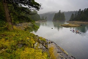 Images Dated 2nd September 2008: Canada, British Columbia, Vancouver Island, Broughton Group. Sea kayakers exploring
