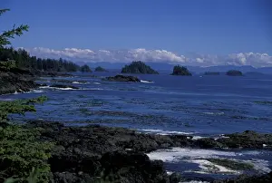 Canada, British Columbia, Vancouver Island Tofino Rocky beach and tide pools