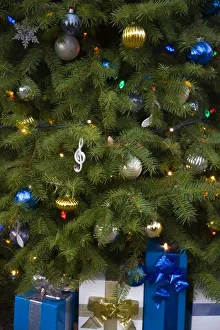 Images Dated 6th December 2007: CANADA, British Columbia, Victoria. Christmas Lighting, Butchart Gardens