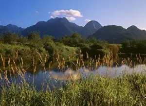 Canada, British Columbia, View of Pitt Addington Wildlife Management Area near Pitt