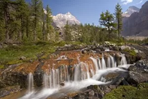 Images Dated 6th August 2006: Canada, British Columbia, Yoho National Park. View of waterfall on Opabin Terrace