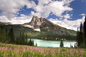 Images Dated 31st July 2006: Canada, British Columbia, Yoho National Park. View of Emerald Lake and surrounding wilderness