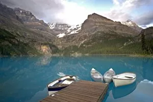 Images Dated 3rd August 2006: Canada, British Columbia, Yoho National Park. Boats moored at a dock on Lake Ohara