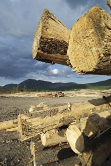 Images Dated 3rd June 2007: Canada: Canal Flats, Tembec Lumber Mill
