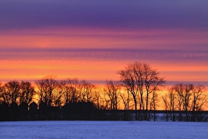 Images Dated 16th February 2010: Canada, Manitoba, Dauphin. Farmstead at dusk