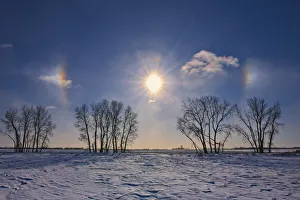 Halo Prints: Canada, Manitoba, Grande Pointe. Sundogs and cottonwood trees
