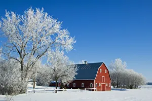 Canada, Manitoba, Grande Pointe. Hoarfrost and red barn in winter