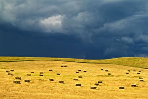 Images Dated 2nd July 2006: Canada, Manitoba, Holland. Square bales in field and storm clouds
