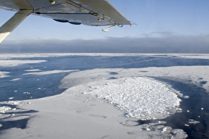 Churchill Prints: Canada, Manitoba, Hudson Bay. An aerial view of ice on the bay. Credit as: Wendy
