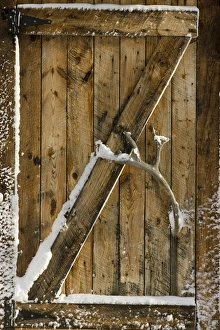Images Dated 6th November 2008: Canada, Manitoba, Hudson Bay, Churchill
