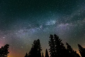 Milky Way Prints: Canada, Manitoba, Milky Way Galaxy and starry night with white spruce in foreground