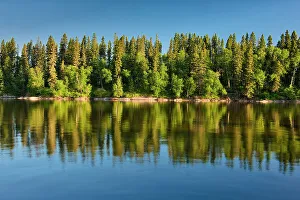 Images Dated 24th April 2022: Canada, Manitoba, Paint Lake Provincial Park. Forest reflections on Paint Lake