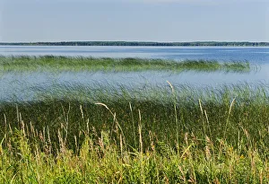 Canada, Manitoba, Riding Mountain National Park. Clear Lake landscape