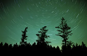 Northern Light Prints: Canada, Manitoba, Sandilands Provincial Forest. Star trails and northern lights. Credit as