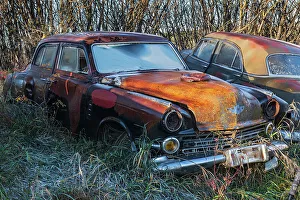 Manitoba Prints: Canada, Manitoba, St. Lupicin. Rusted vintage cars. (Editorial Use Only)