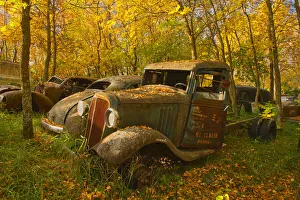 Manitoba Prints: Canada, Manitoba, St. Lupicin. Vintage old vehicles in wrecking yard