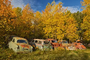 Canada, Manitoba, St. Lupicin. Vintage old vehicles in wrecking yard