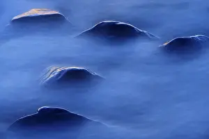 Images Dated 30th January 2014: Canada, Manitoba. Sunset on rocks protruding through foamy water on Lake Winnipeg shoreline