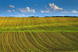 Industry Prints: Canada, Manitoba, Treherne. Crop patterns in spring