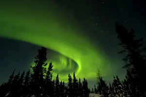 Canada, Manitoba. View of aurora borealis and silhouette of trees