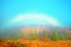 Images Dated 22nd October 2009: Canada, Manitoba, Whiteshell Provincial Park. Fogbow over forest in autumn colors