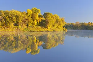 Red River Prints: Canada, Manitoba, Winnipeg. Forest reflected in Red River at sunrise