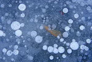 Canada, Manitoba, Winnipeg. Ice bubbles on frozen Seine River