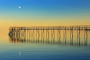 Rising Prints: Canada, Manitoba, Winnipeg. Pier on Lake Winnipeg with rising moon