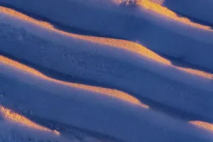 Winnipeg Prints: Canada, Manitoba, Winnipeg. Shadows on snow at sunset