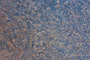 Winnipeg Prints: Canada, Manitoba, Winnipeg. Sunrise on window frost patterns in winter