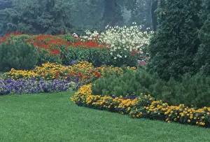 Winnipeg Prints: Canada, Manitoba, Winnipeg. Urban garden in light fog