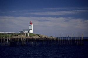 Weir Prints: Canada: New Brunswick, Bliss Harbor, Bliss Point Light with fish weirs, July