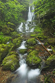 Images Dated 18th July 2009: Canada, New Brunswick, Fundy National Park. Dickson Creek waterfall cascade. Credit as