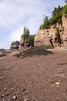 Maritime Province Prints: Canada, New Brunswick, Hopewell Cape, Bay of Fundy. Hopewell Rocks at low tide (aka